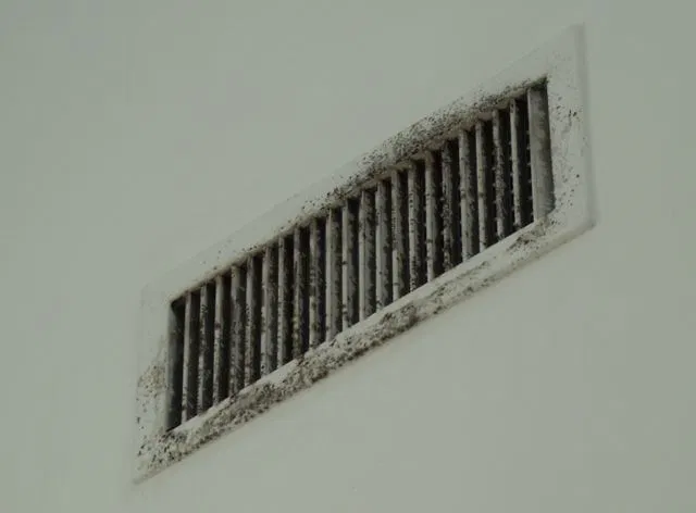 Air Duct Photo posted on Energy Vanguard