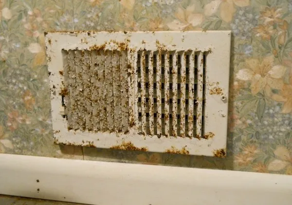 Air Duct Photo posted on Energy Vanguard